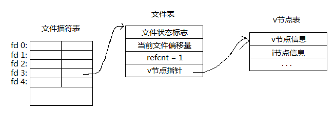 文件和进程