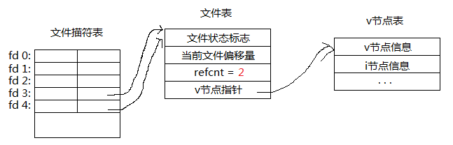 文件和进程