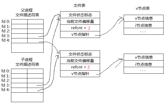 进程和子进程