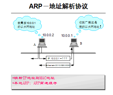 主机和地址