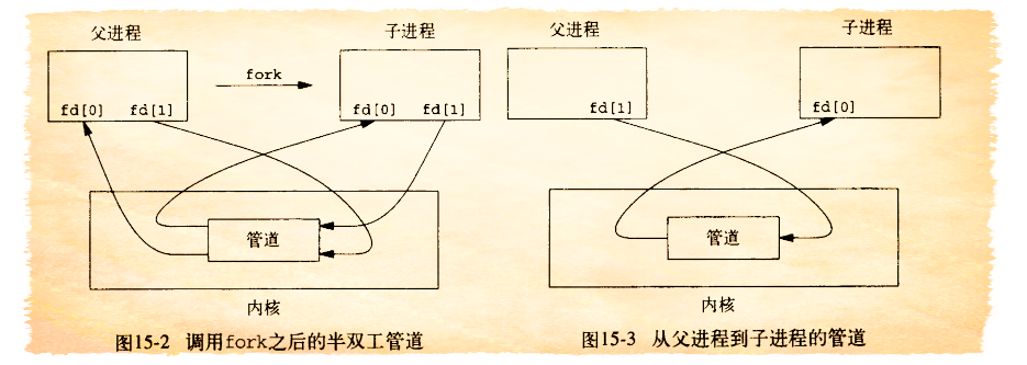 进程和匿名