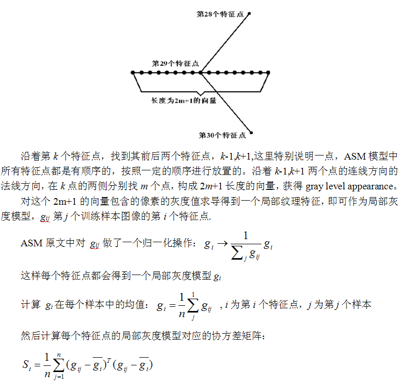 模型和图像