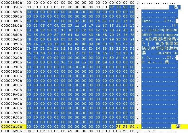 字节和文件