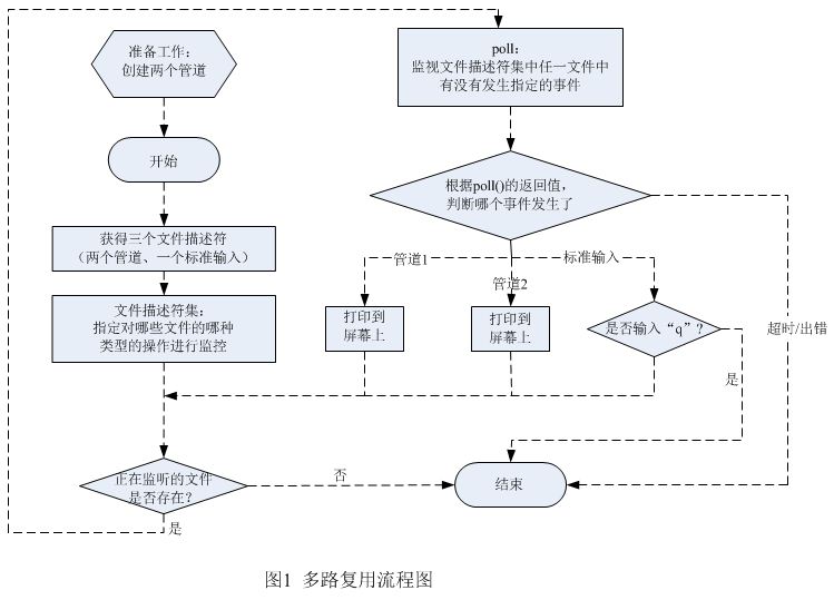 函数和模型