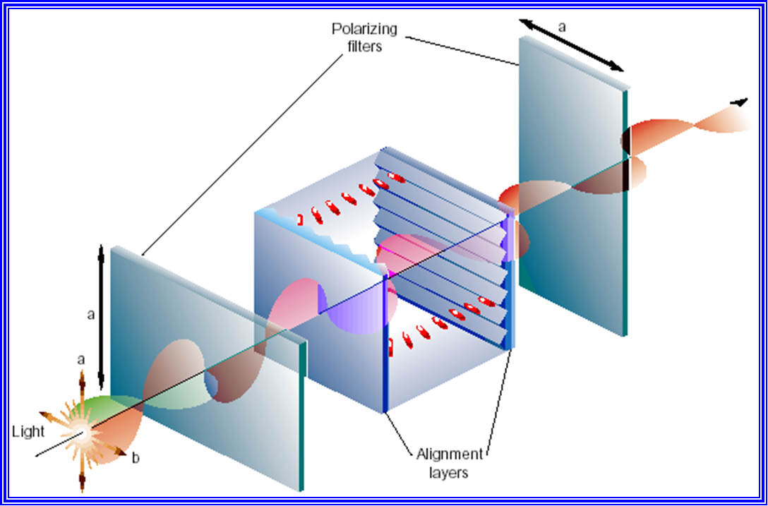 Оптический поляризатор. Работа жидкокристаллического дисплея поляризация.