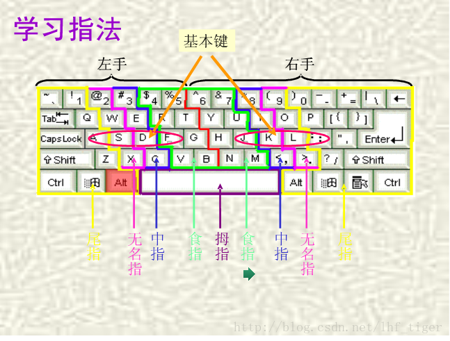 正确的键盘指法 残阳的博客 程序员its404 程序员its404