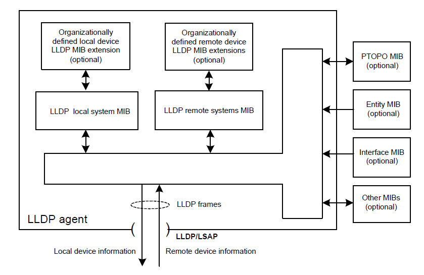 链路层链路发现协议（LLDP）讲解「建议收藏」