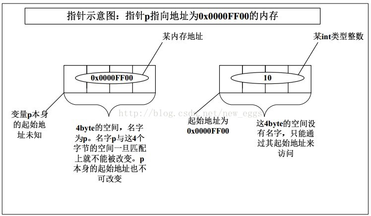
			
				指针 数组			