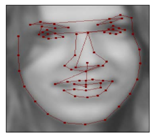 Chapter 7:3D Head Pose Estimation Using AAM and POSIT