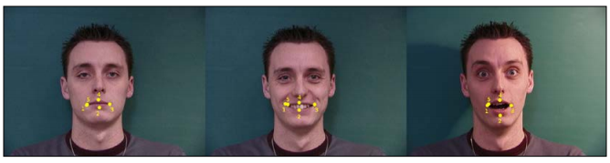 Chapter 7:3D Head Pose Estimation Using AAM and POSIT