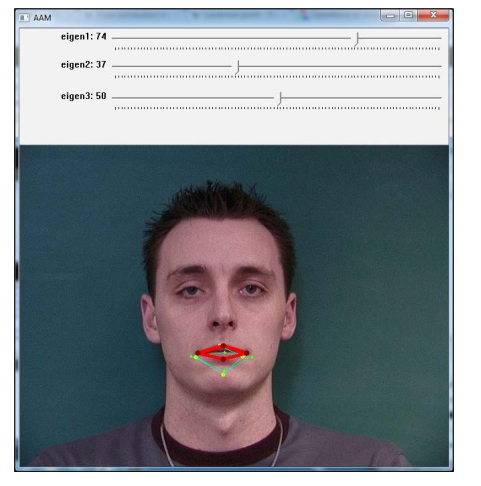 Chapter 7:3D Head Pose Estimation Using AAM and POSIT