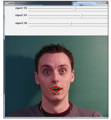 Chapter 7:3D Head Pose Estimation Using AAM and POSIT