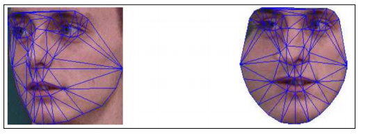 Chapter 7:3D Head Pose Estimation Using AAM and POSIT