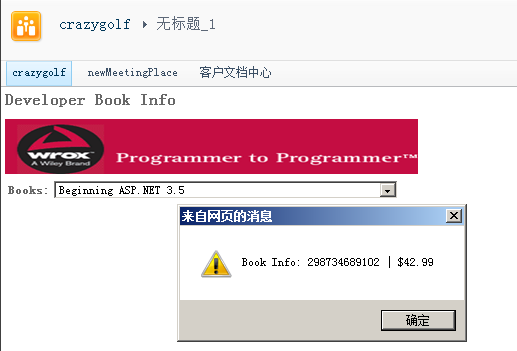 使用SharePoint Designer将JavaScript和自定义网站页面集成