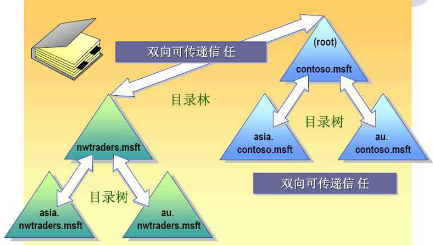 Active Directory(活动目录)  Domain（域）