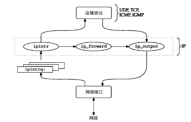 《TCP/IP具体解释卷2：实现》笔记--IP：网际协议