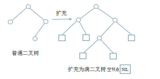 树、二叉树基础