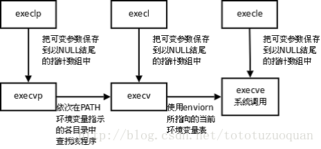 5进程原语：execl(),execlp(),execle(),execv(),execvp(),execvp(),execve()_exec ...