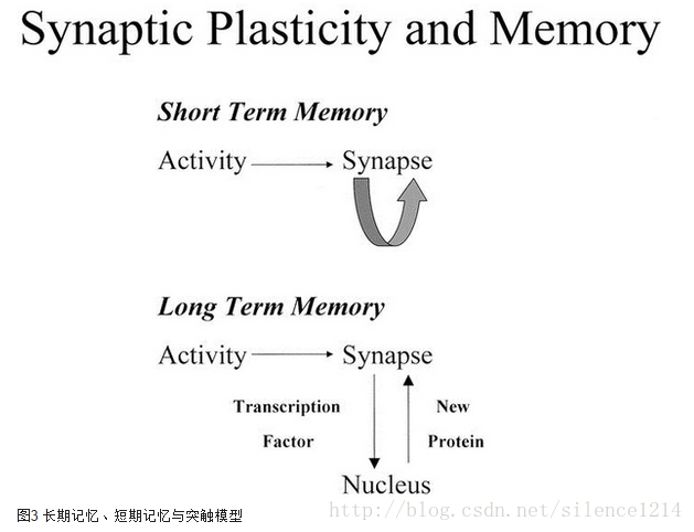 關於長短時記憶的一個小感想 It閱讀