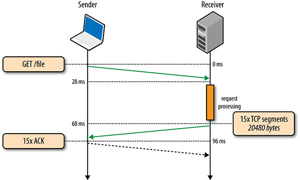 High Performance Browser Networking - TCP UDP TLS