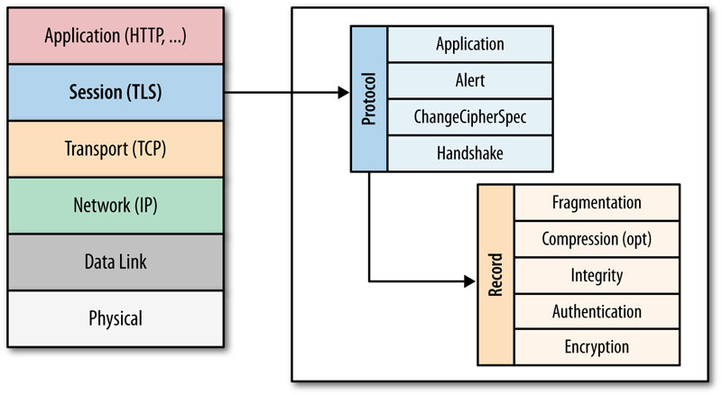 High Performance Browser Networking - TCP UDP TLS