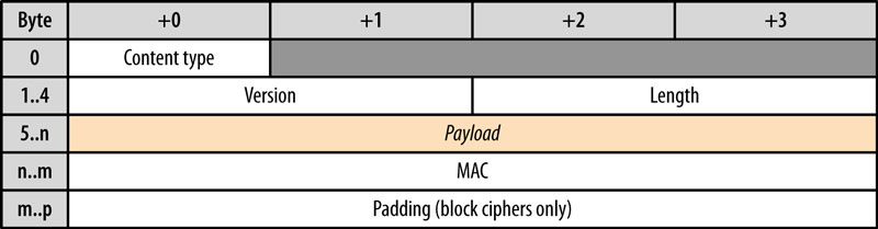 High Performance Browser Networking - TCP UDP TLS