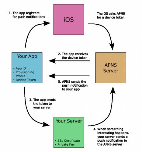 iOS 开发之实现 App 消息推送（最新）[通俗易懂]