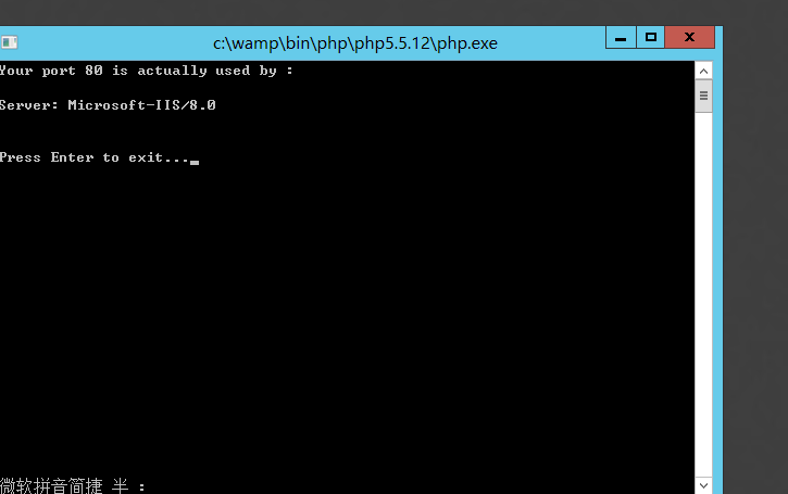 阿里云ECS服务器IIS和WampServer同时运行