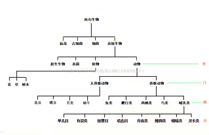 生物的分类 Zzwu的专栏 Csdn博客