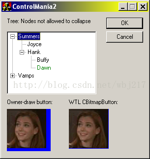  [WTL bitmap button - 12K] 