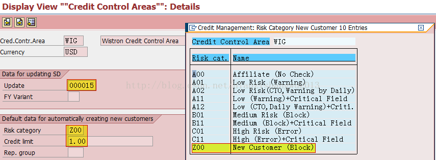 Backgroud -Master Data-Credit Control Area_如何定义credit