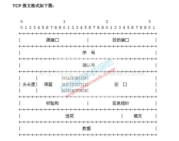 TCP/IP 协议簇的逐层封装