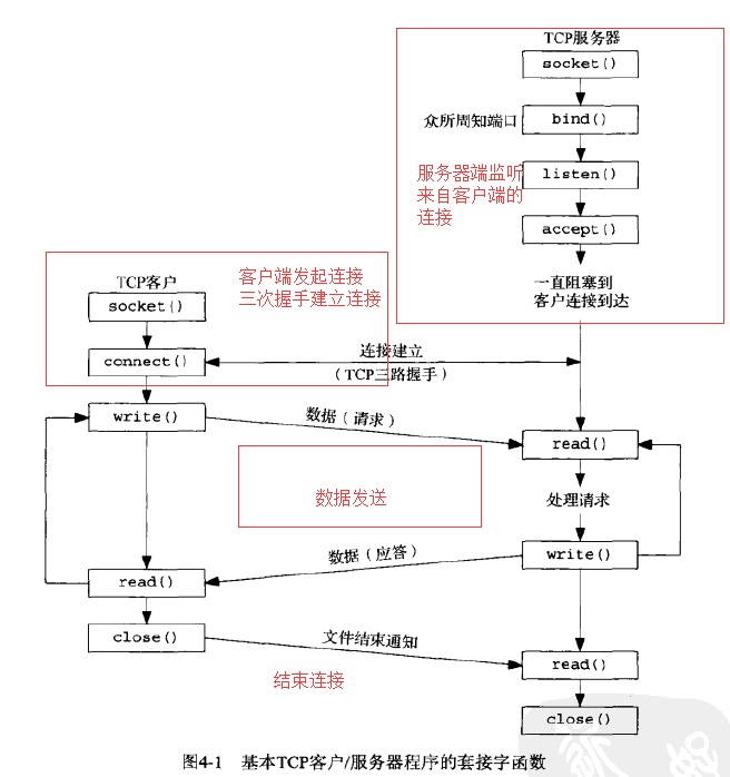 Unix 网络编程(四)- 典型TCP客服服务器程序开发实例及基本套接字API介绍