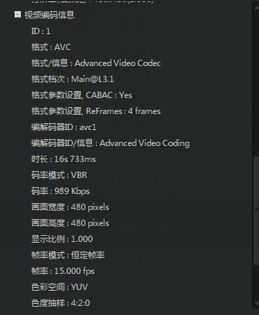 本人视频合成后的信息