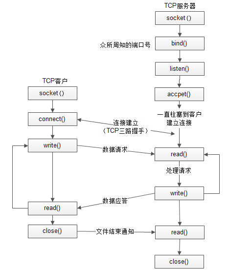 图5 TCP套接字客户端/服务器连接过程