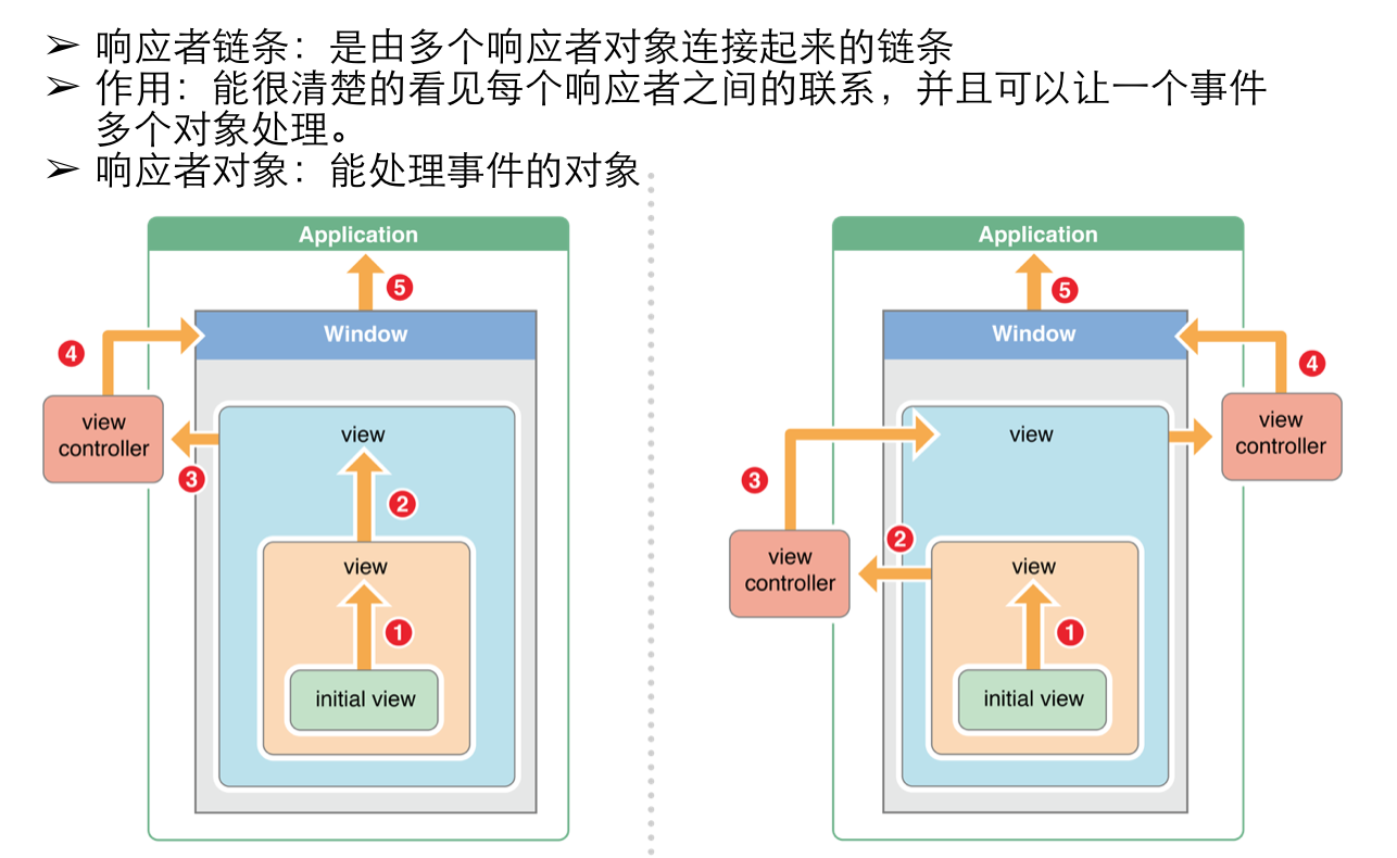 响应者链条示意图