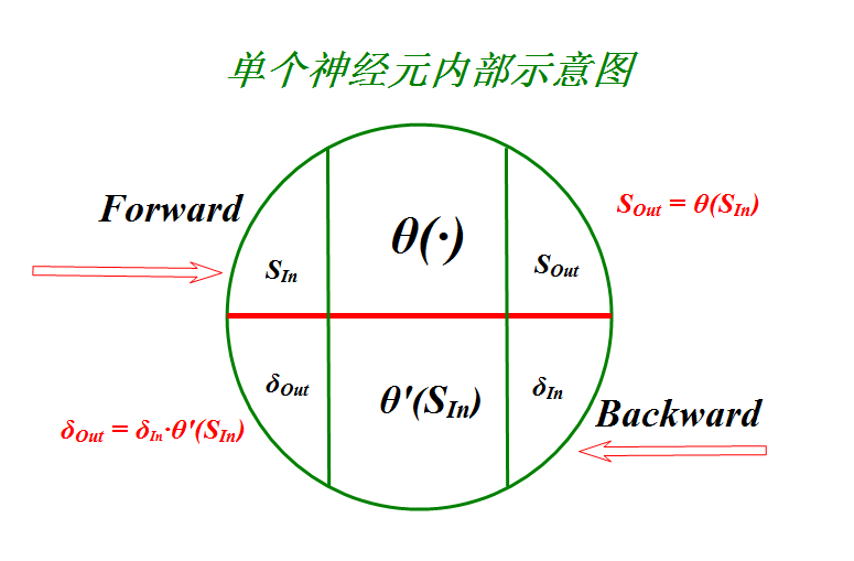 单个神经元内部示意图