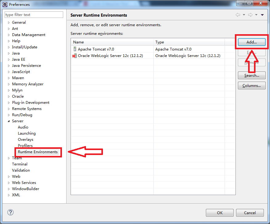 Runtime Environments