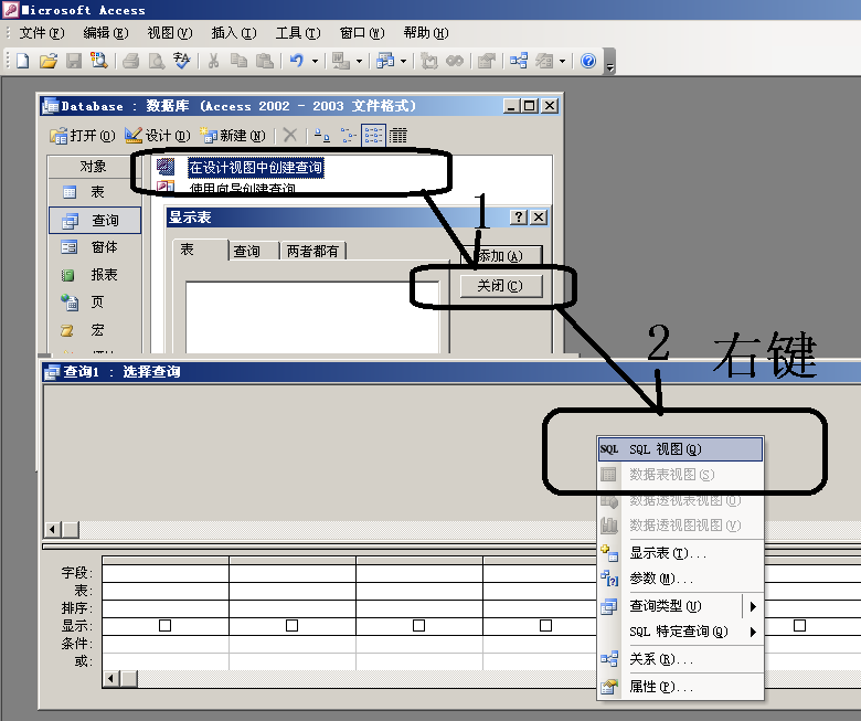 access设计视图图片