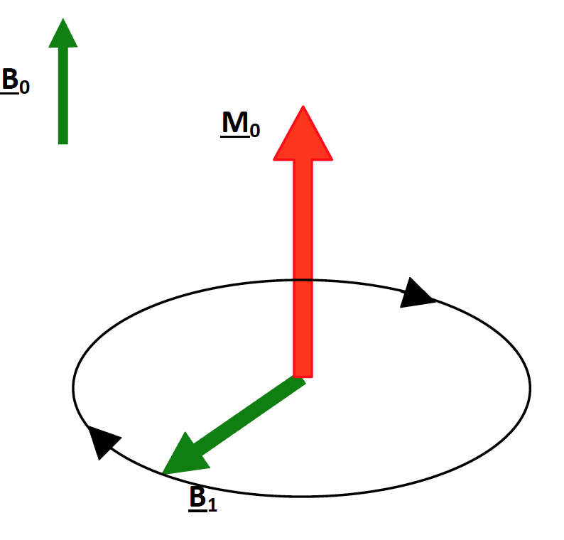 磁共振中t1和t2是什么意思_核磁共振t1和t2区别