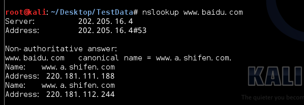 nslookup