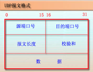 Linux 网络编程——原始套接字实例：发送 UDP 数据包
