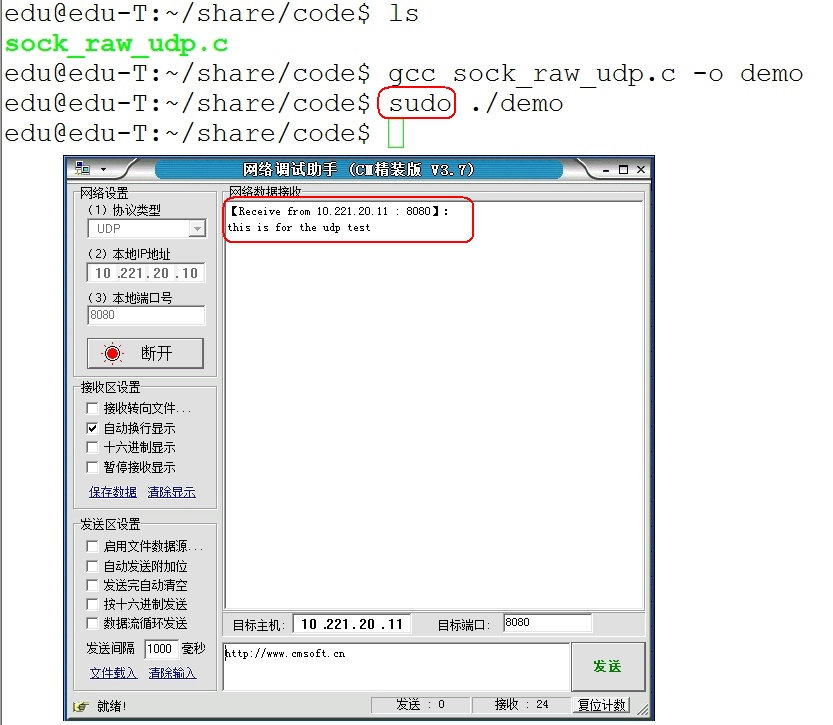 Linux 网络编程——原始套接字实例：发送 UDP 数据包