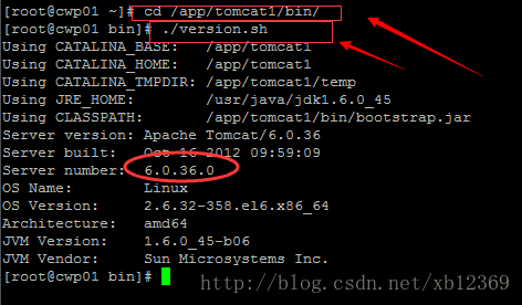 Посмотреть версию tomcat linux