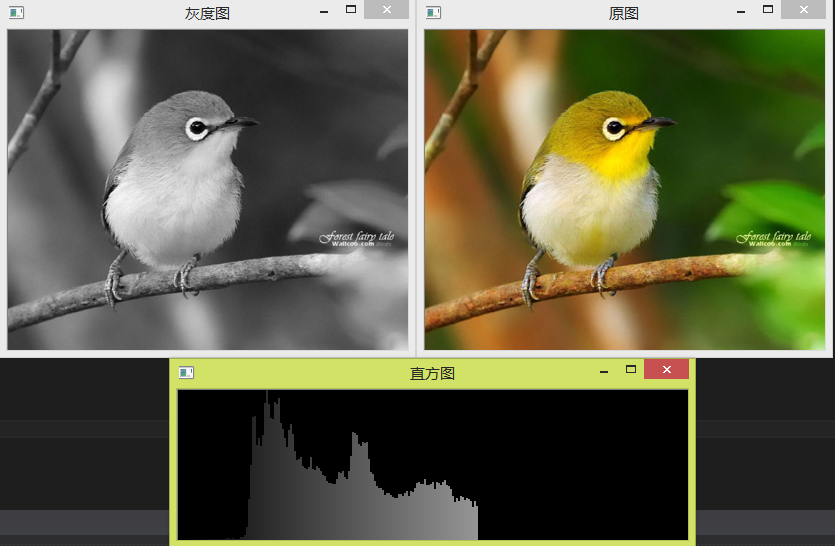 【OpenCV】直方图（一）直方图初步