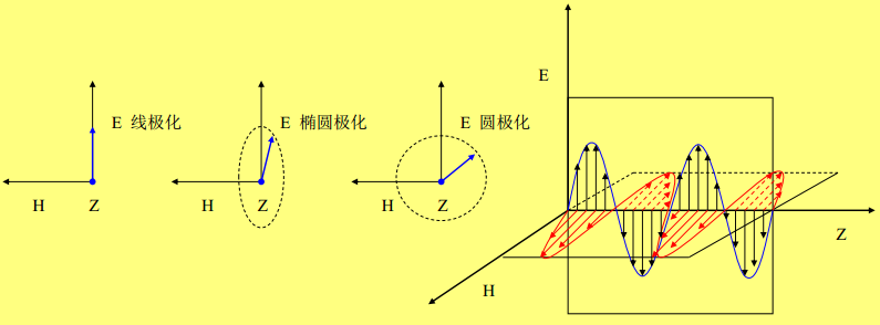 极化的类型
