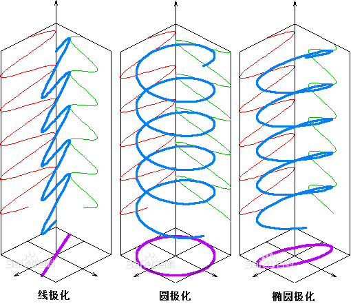 三种极化示意图, 红色与绿色的曲线是电场矢量(蓝色曲线)方向的分量