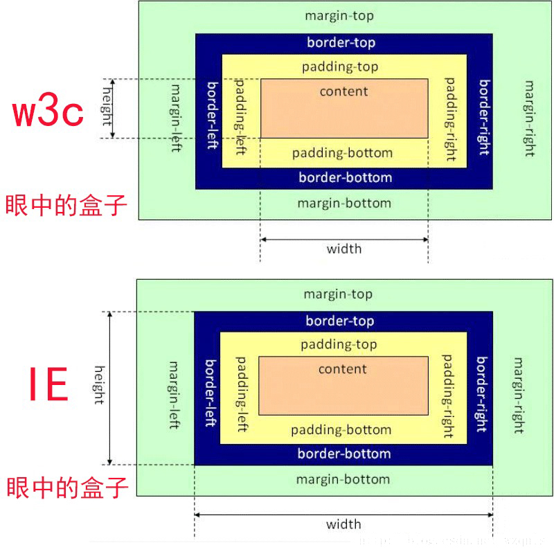 盒子模型