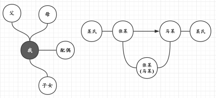 曲线的美