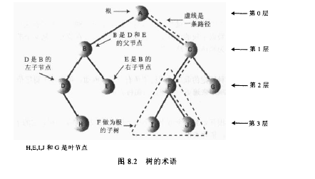 二叉树算法（java）